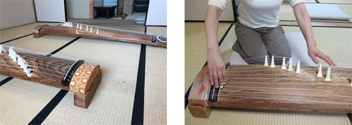 ��ⵋ����̗l�q